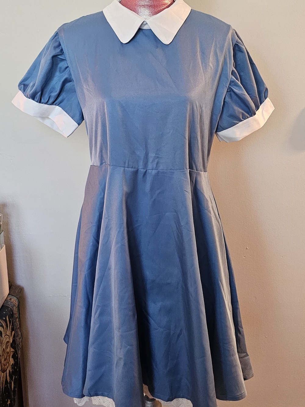 Alice In Wonderland Costume - Picture 6 of 12